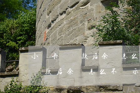 小贏卡貸還款后余額怎么不顯示-小贏卡貸還款后余額怎么不顯示了呢