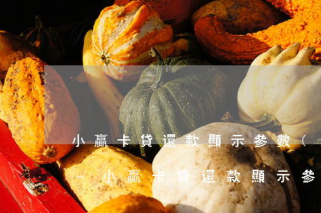 小贏卡貸還款顯示參數(shù)格式不對-小贏卡貸還款顯示參數(shù)格式不對怎么回事