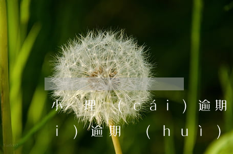 小贏理財(cái)逾期-小贏理財(cái)逾期會(huì)怎樣