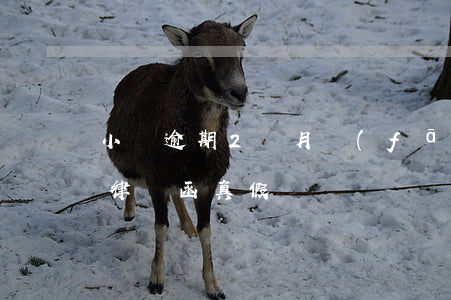 小贏逾期2個月發(fā)律師函(小贏卡貸律師函真假)
