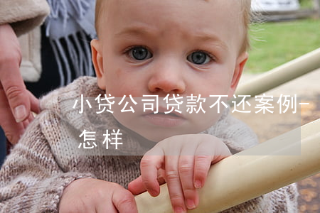 小贷公司贷款不还案例-小贷公司不还款会怎样