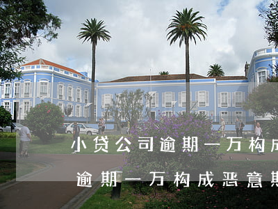 小贷公司逾期一万构成恶意欺诈-小贷公司逾期一万构成恶意欺诈罪吗