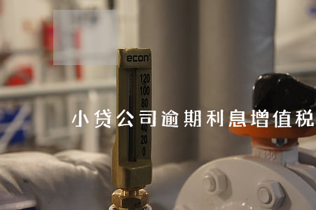 小贷公司逾期利息增值税（小贷公司逾期）