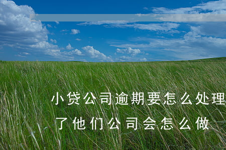 小贷公司逾期要怎么处理(贷了小额贷款逾期了他们公司会怎么做?)