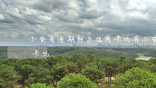 小贷有逾期能办信用卡吗(有小贷还能办信用卡吗)