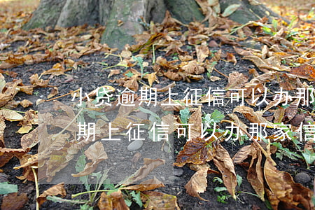 小贷逾期上征信可以办那家信用卡吗（小贷逾期上征信可以办那家信用卡）