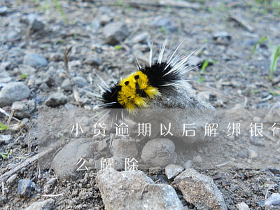 小贷逾期以后解绑银行卡(银行卡绑定小贷怎么解除)