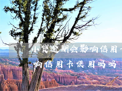 小贷逾期会影响信用卡使用吗(小贷逾期会影响信用卡使用吗吗)