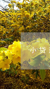 小贷逾期会被起诉吗-逾期贷款会被起诉吗