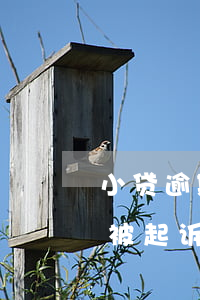 小贷逾期多少钱会被起诉(小贷逾期多少钱会被起诉)