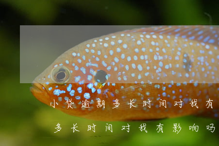 小贷逾期多长时间对我有影响吗-小贷逾期多长时间对我有影响吗知乎