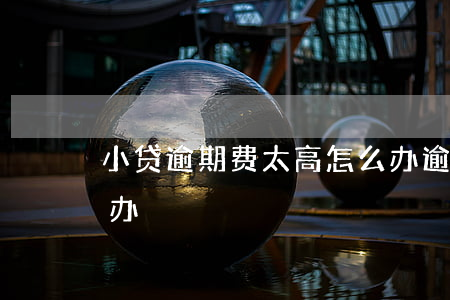 小贷逾期费太高怎么办 逾期利息太高了怎么办