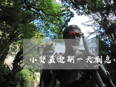 小贷鱼逾期一天利息(小额网贷逾期一天)