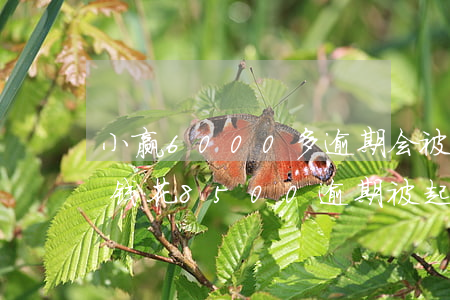 小赢6000多逾期会被起诉吗-欠小赢摇钱花8500逾期被起诉