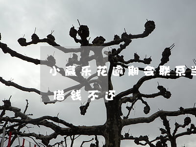 小赢乐花逾期会联系当地政府吗-小赢乐花借钱不还