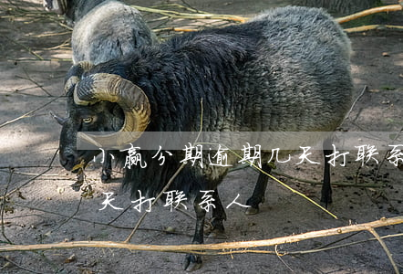 小赢分期逾期几天打联系人(小赢分期逾期几天打联系人)