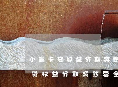 小赢卡贷权益分期突然要全部还款-小赢卡贷权益分期突然要全部还款怎么回事