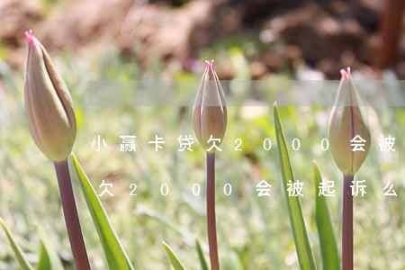 小赢卡贷欠2000会被起诉么-小赢卡贷欠2000会被起诉么吗