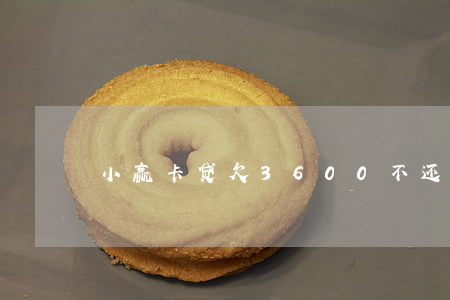 小赢卡贷欠3600不还会怎样啊