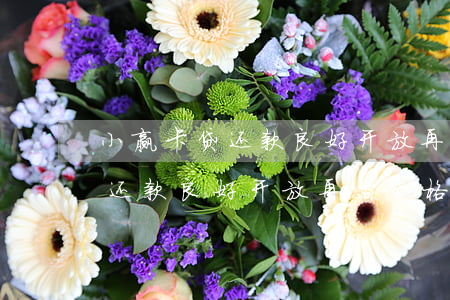 小赢卡贷还款良好开放再借资格-小赢卡贷还款良好开放再借资格是真的吗