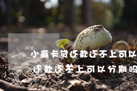 小赢卡贷还款还不上可以分期吗-小赢卡贷还款还不上可以分期吗怎么办