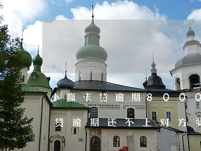 小赢卡贷逾期8000元多久会起诉(小赢卡贷逾期还不上,对方要起诉报案,后果)