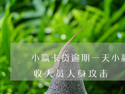 小赢卡贷逾期一天(小赢卡贷逾期一天就被催收人员人身攻击)