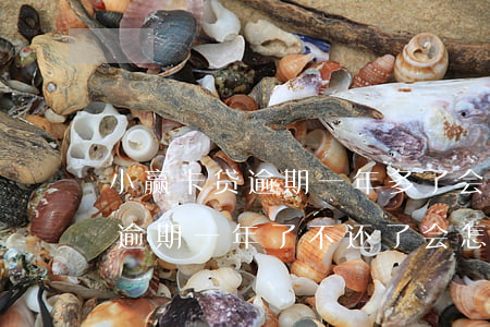 小赢卡贷逾期一年多了会怎么样-小赢卡贷逾期一年了不还了会怎么样