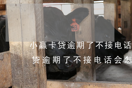 小赢卡贷逾期了不接电话会怎么样-小赢卡贷逾期了不接电话会怎么样吗