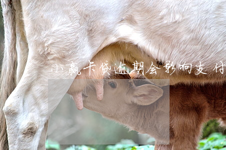 小赢卡贷逾期会影响支付宝么
