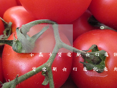 小赢卡贷逾期会打通讯录所有人吗-小赢卡贷逾期会打通讯录所有人吗安全吗
