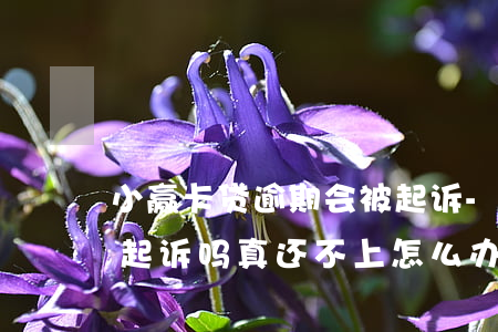 小赢卡贷逾期会被起诉-小赢卡贷逾期会被起诉吗?真还不上怎么办