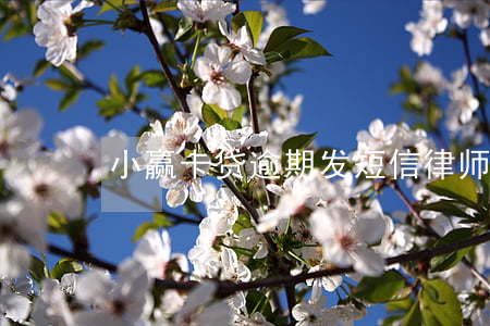 小赢卡贷逾期发短信律师函(小赢卡贷通告函)
