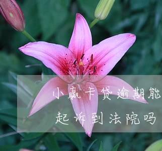 小赢卡贷逾期能在异地起诉吗-小赢卡贷会起诉到法院吗