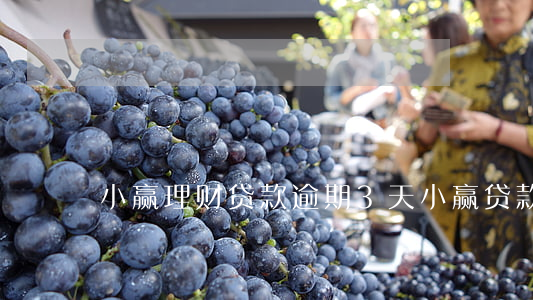 小赢理财贷款逾期3天(小赢贷款逾期1年)