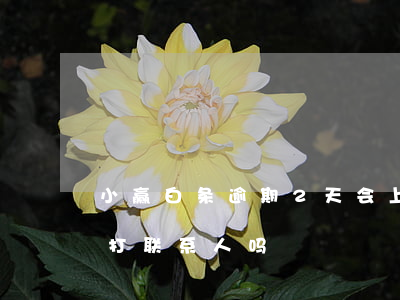 小赢白条逾期2天会上门吗 小赢逾期第一天打联系人吗