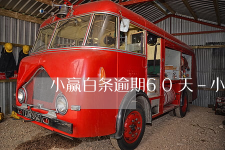 小赢白条逾期60天-小赢逾期第一天说