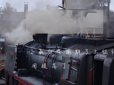 小赢白条逾期了上征信吗-白条逾期小白信用提高了