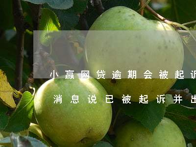 小赢网贷逾期会被起诉嘛(小赢卡贷逾期后发消息说已被起诉 并出庭)