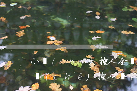 小車(chē)撞人全責(zé)怎么賠償(車(chē)撞人車(chē)主全責(zé)怎么理賠)