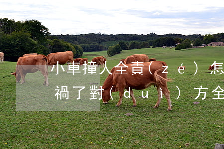 小車撞人全責(zé)怎么賠償(車撞人出車禍了對(duì)方全責(zé)怎么賠償)