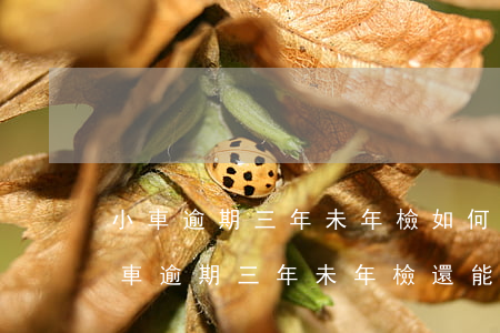 小車逾期三年未年檢如何處理(機(jī)動車逾期三年未年檢還能年檢嗎)