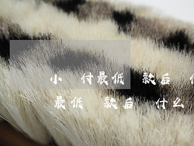 小輝付最低還款后為什么顯示逾期-小輝付最低還款后為什么顯示逾期了