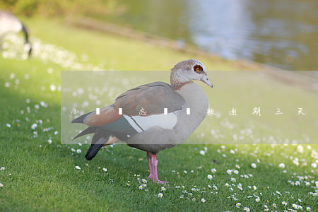 小輝貸忘記還款逾期三天(小輝貸審核多久)