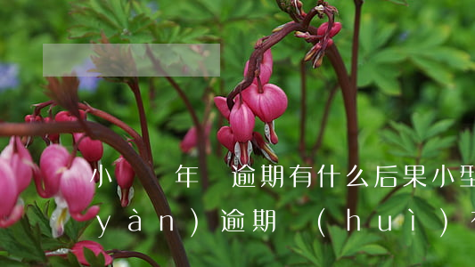 小轎車年檢逾期有什么后果(小型汽車檢驗(yàn)逾期會(huì)有什么影響)