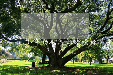 小车伤人怎么赔偿标准(车辆事故一般怎么赔偿)