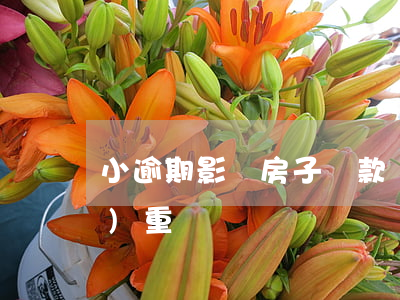 小逾期影響房子貸款嗎(房貸逾期嚴(yán)重嗎)