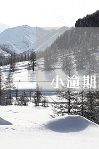 小逾期比較多-小額逾期影響大嗎