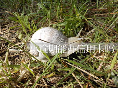 小逾期能办信用卡吗