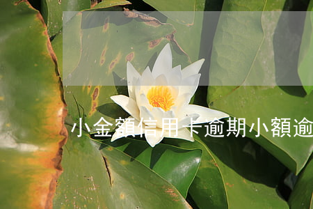 小金額信用卡逾期（小額逾期信用卡）
